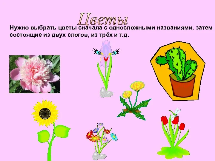 Цветы Нужно выбрать цветы сначала с односложными названиями, затем состоящие
