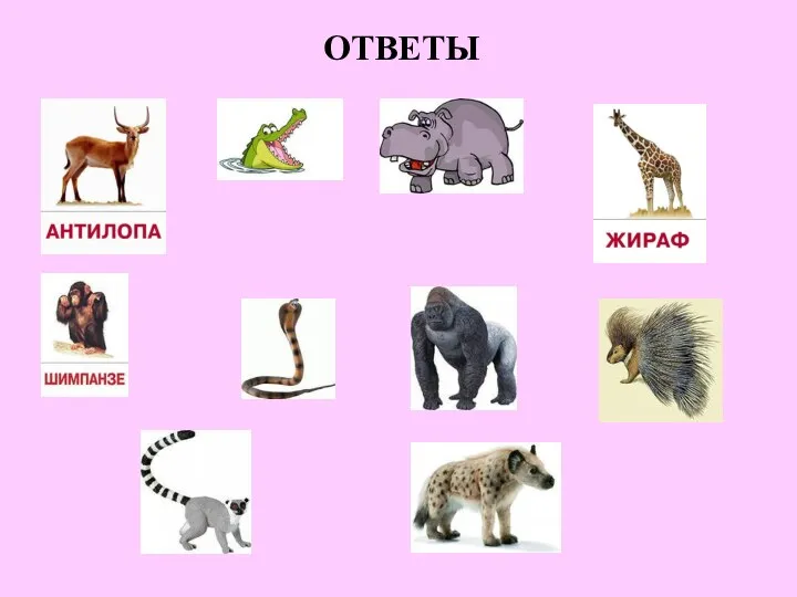 ОТВЕТЫ