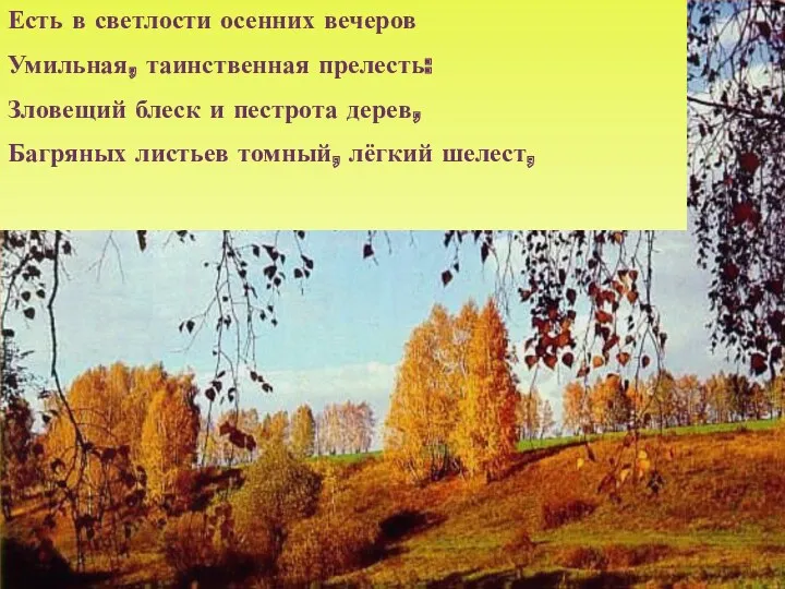 Есть в светлости осенних вечеров Умильная, таинственная прелесть: Зловещий блеск