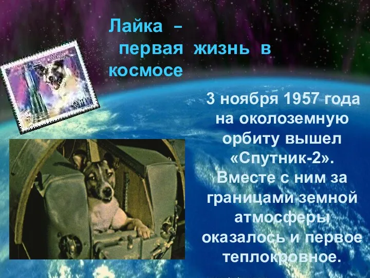 3 ноября 1957 года на околоземную орбиту вышел «Спутник-2». Вместе с ним за