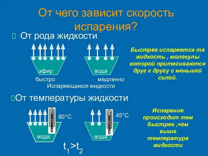 От чего зависит скорость испарения? От рода жидкости эфир медленно