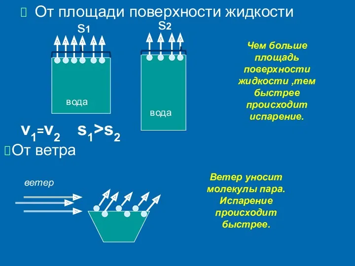 От площади поверхности жидкости вода вода v1=v2 Чем больше площадь