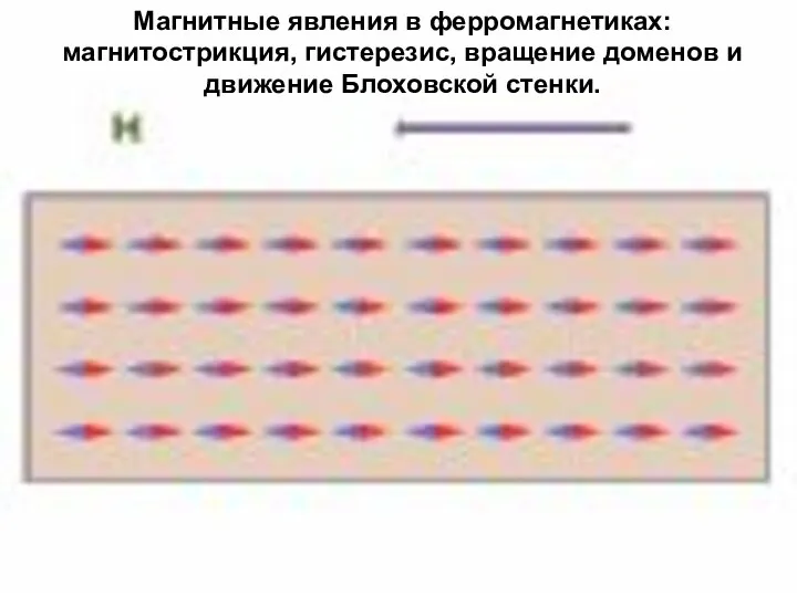 Магнитные явления в ферромагнетиках: магнитострикция, гистерезис, вращение доменов и движение Блоховской стенки.