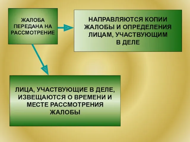 ЖАЛОБА ПЕРЕДАНА НА РАССМОТРЕНИЕ НАПРАВЛЯЮТСЯ КОПИИ ЖАЛОБЫ И ОПРЕДЕЛЕНИЯ ЛИЦАМ,