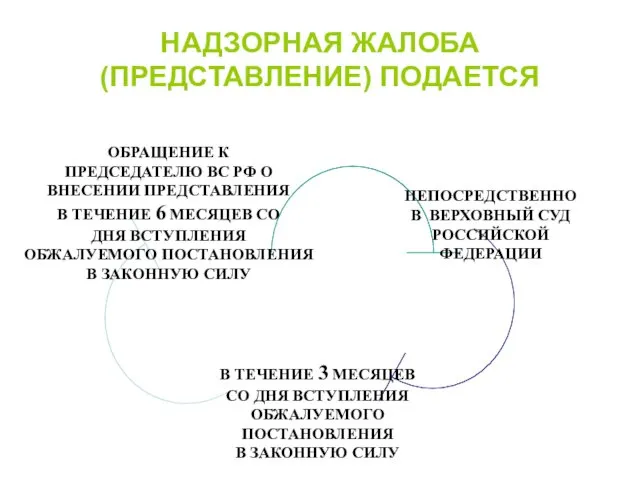 НАДЗОРНАЯ ЖАЛОБА (ПРЕДСТАВЛЕНИЕ) ПОДАЕТСЯ