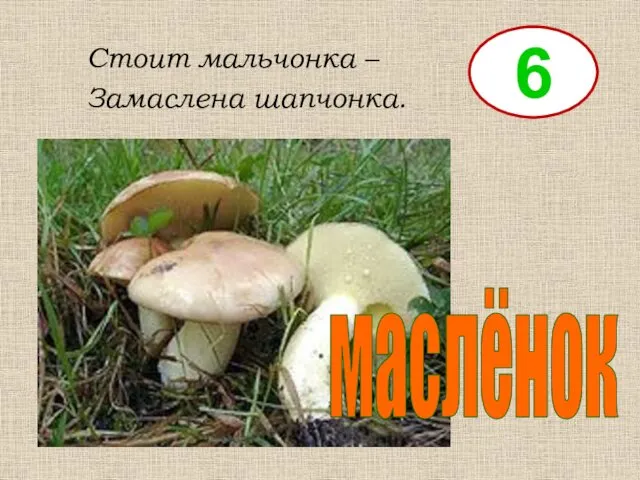 Стоит мальчонка – Замаслена шапчонка. маслёнок 6