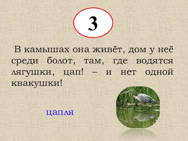 3 В камышах она живёт, дом у неё среди болот,