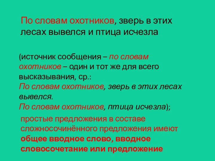 По словам охотников, зверь в этих лесах вывелся и птица