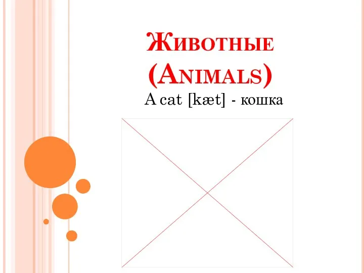 Животные (Animals) A cat [kæt] - кошка