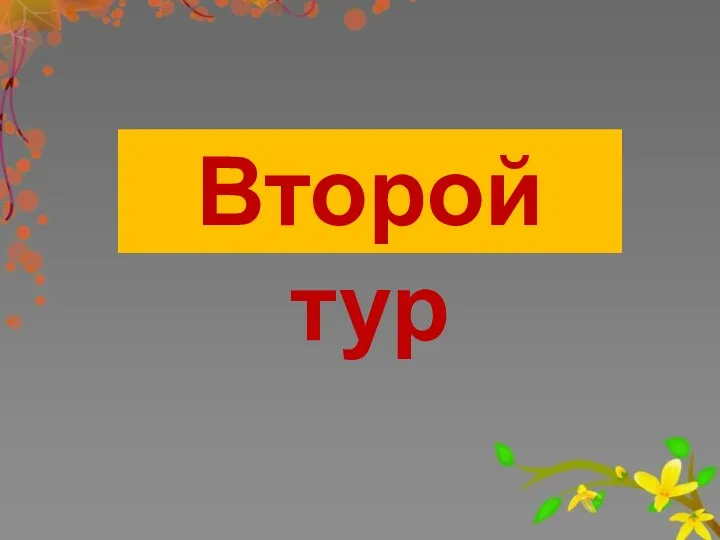 Второй тур