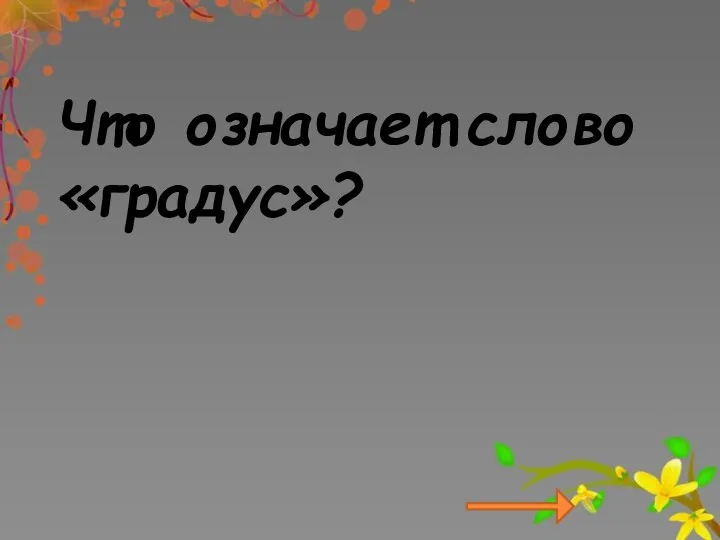 Что означает слово «градус»?