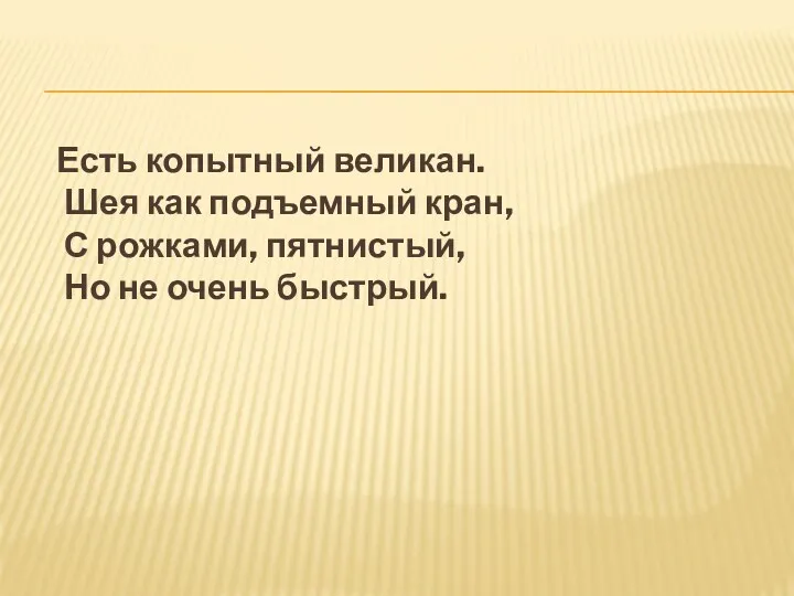 Есть копытный великан. Шея как подъемный кран, С рожками, пятнистый, Но не очень быстрый.