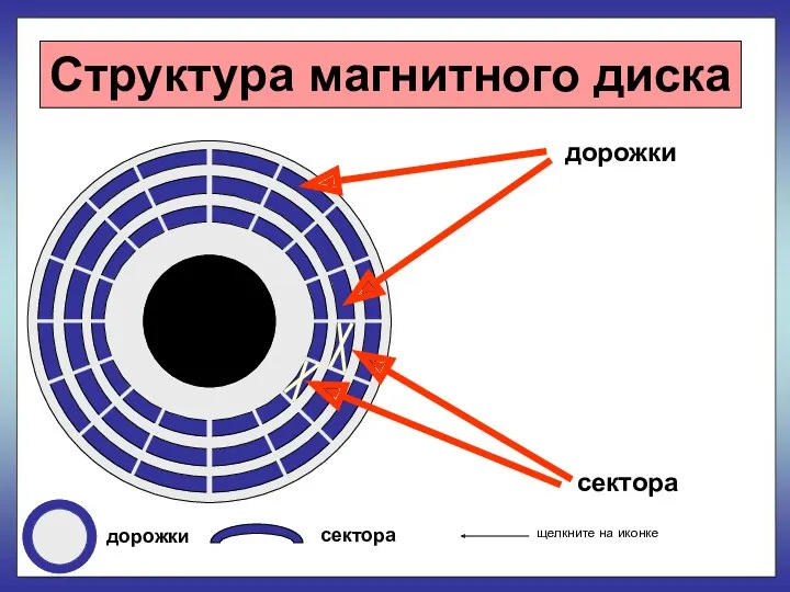 Структура магнитного диска дорожки сектора