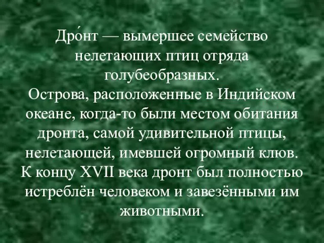 Дро́нт — вымершее семейство нелетающих птиц отряда голубеобразных. Острова, расположенные