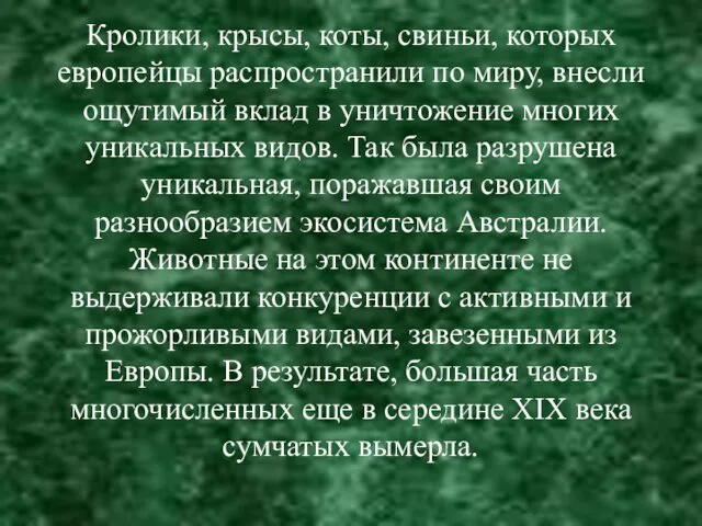 Кролики, крысы, коты, свиньи, которых европейцы распространили по миру, внесли