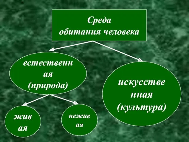 Среда обитания человека естественная (природа) искусственная (культура) живая неживая