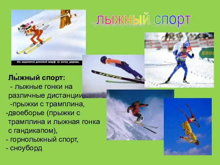 лыжный спорт Лы́жный спорт: - лыжные гонки на различные дистанции, -прыжки с трамплина,