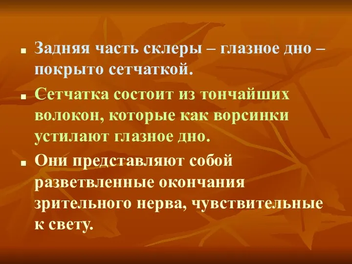 Задняя часть склеры – глазное дно – покрыто сетчаткой. Сетчатка