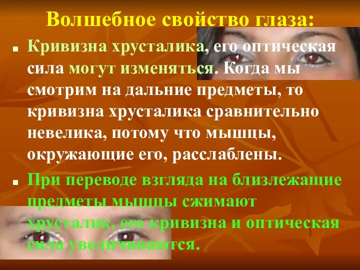 Волшебное свойство глаза: Кривизна хрусталика, его оптическая сила могут изменяться.