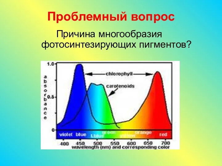 Проблемный вопрос Причина многообразия фотосинтезирующих пигментов?