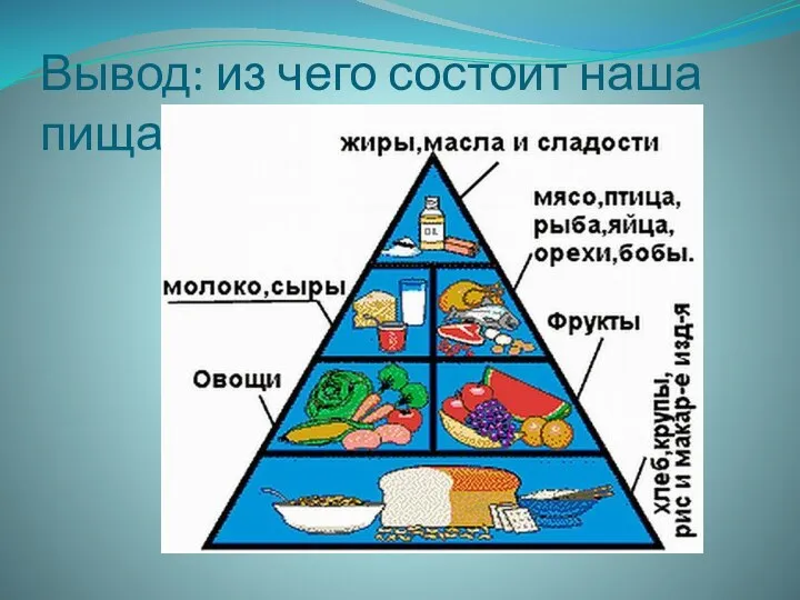 Вывод: из чего состоит наша пища?