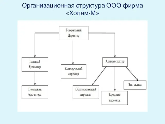 Организационная структура ООО фирма «Холам-М»