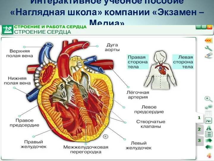 Интерактивное учебное пособие «Наглядная школа» компании «Экзамен –Медиа»