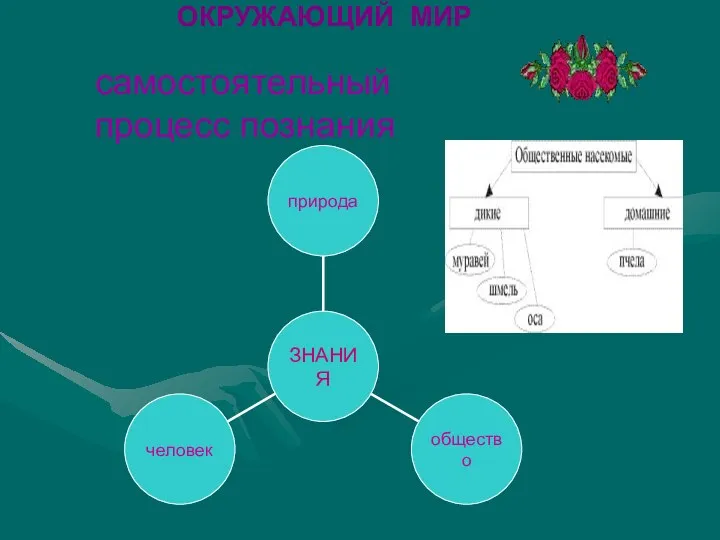 ОКРУЖАЮЩИЙ МИР самостоятельный процесс познания