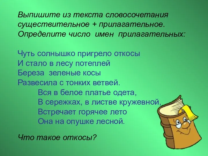 Выпишите из текста словосочетания существительное + прилагательное. Определите число имен