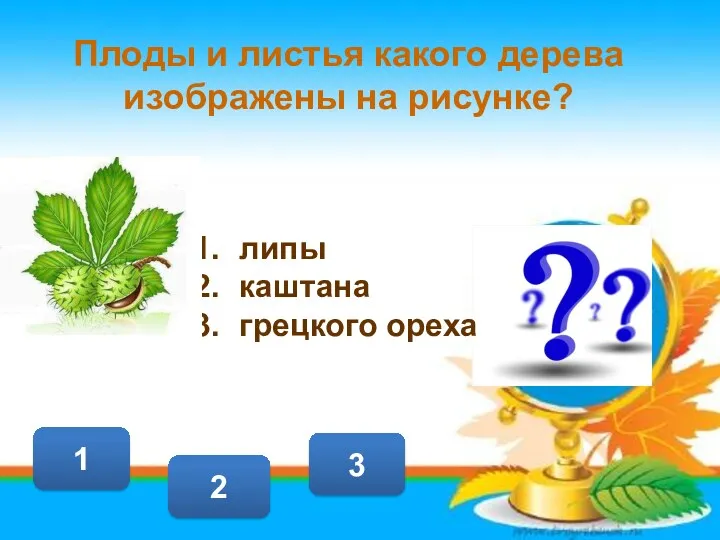2 3 1 Плоды и листья какого дерева изображены на рисунке? липы каштана грецкого ореха