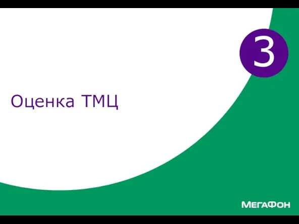 Оценка ТМЦ 3