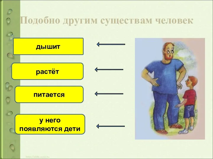 Подобно другим существам человек дышит растёт питается у него появляются дети