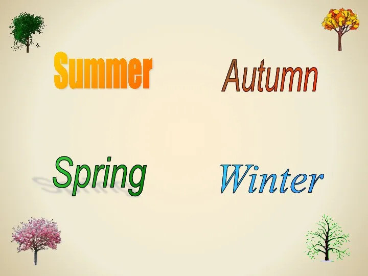 Summer Spring Autumn Winter