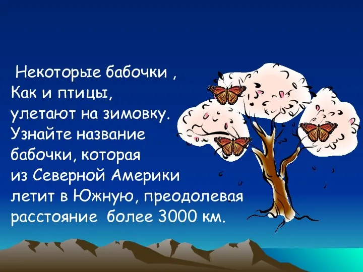 Некоторые бабочки , Как и птицы, улетают на зимовку. Узнайте