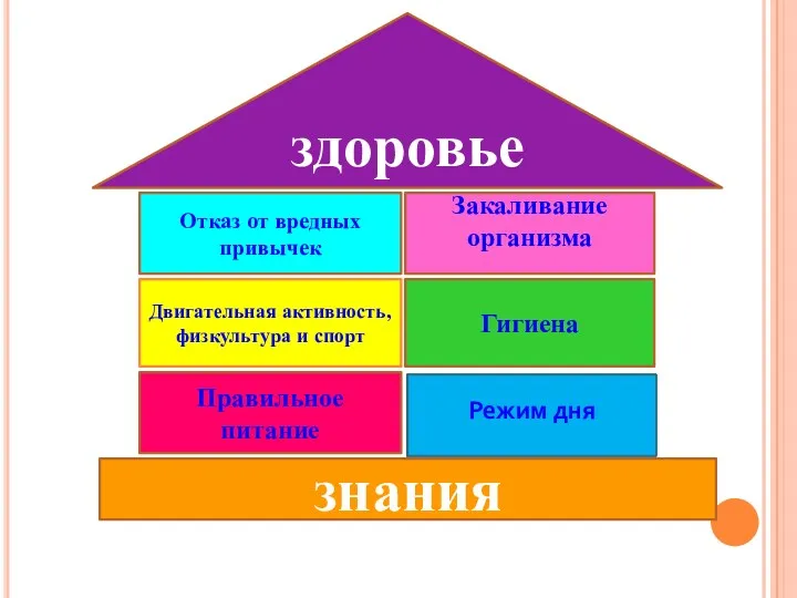 знания Правильное питание Двигательная активность, физкультура и спорт Отказ от вредных привычек Закаливание организма Гигиена здоровье