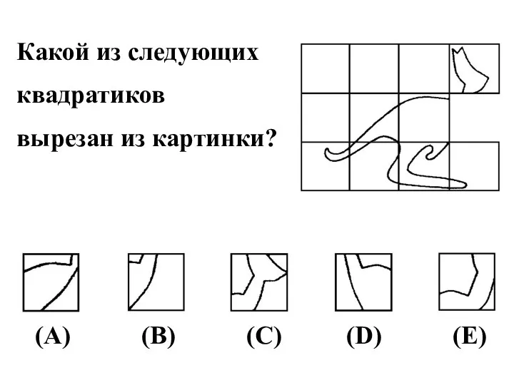 Какой из следующих квадратиков вырезан из картинки? (А) (В) (С) (D) (Е)