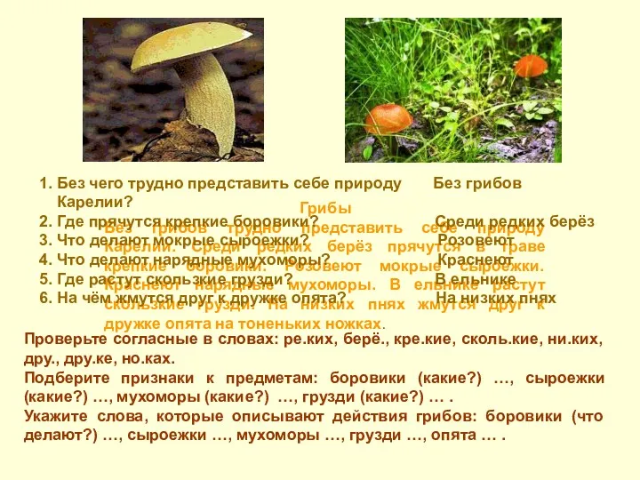 Грибы Без грибов трудно представить себе природу Карелии. Среди редких