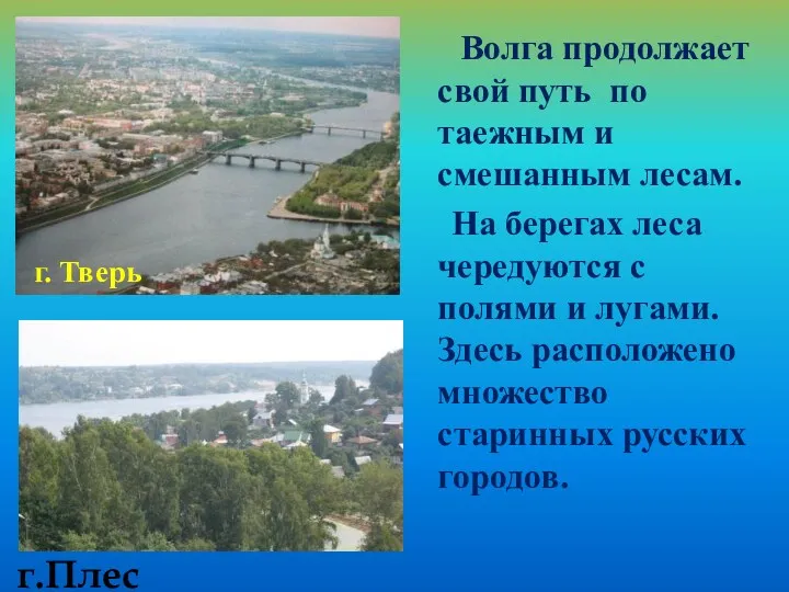 Волга продолжает свой путь по таежным и смешанным лесам. На