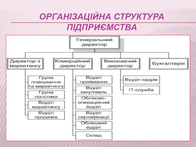 ОРГАНІЗАЦІЙНА СТРУКТУРА ПІДПРИЄМСТВА