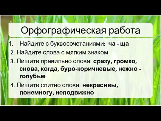 Орфографическая работа Найдите с буквосочетаниями: ча - ща 2. Найдите