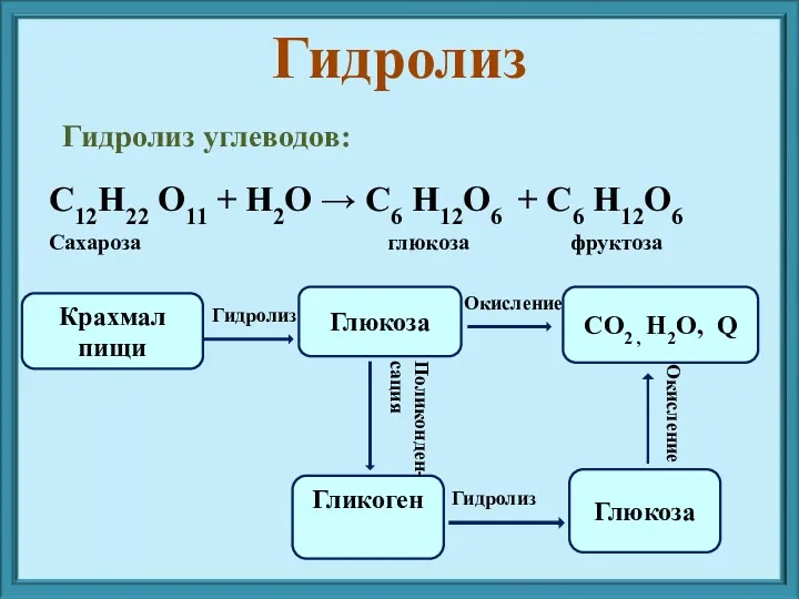 Гидролиз углеводов: Крахмал пищи Глюкоза CO2 , H2O, Q Гликоген Глюкоза Гидролиз Окисление