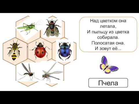 Над цветком она летала, И пыльцу из цветка собирала. Полосатая она. И зовут её... Пчела