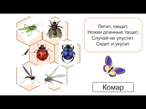 Летит, пищит, Ножки длинные тащит, Случай не упустит: Сядет и укусит. Комар