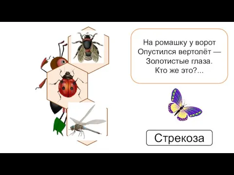 На ромашку у ворот Опустился вертолёт — Золотистые глаза. Кто же это?... Стрекоза