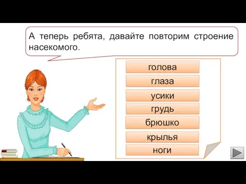 А теперь ребята, давайте повторим строение насекомого. голова глаза усики грудь брюшко крылья ноги