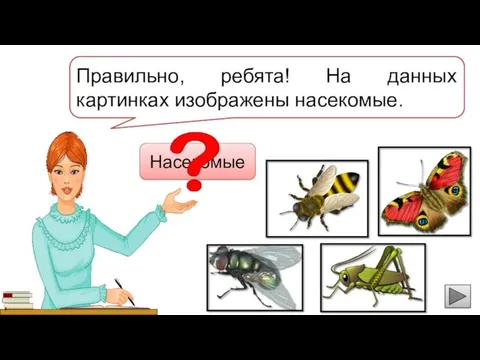 Ребята, подумайте, как одним словом можно назвать этих животных? Насекомые