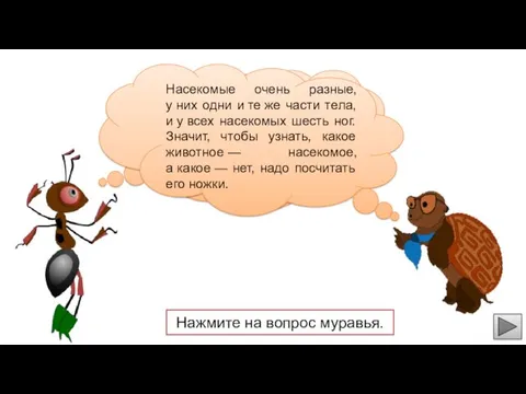 Черепашка, а как узнать кто насекомый, а кто нет? Насекомые