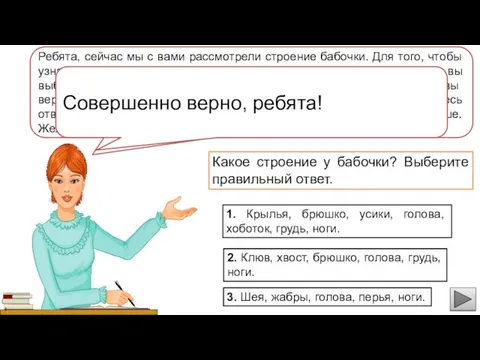 Ребята, сейчас мы с вами рассмотрели строение бабочки. Для того,