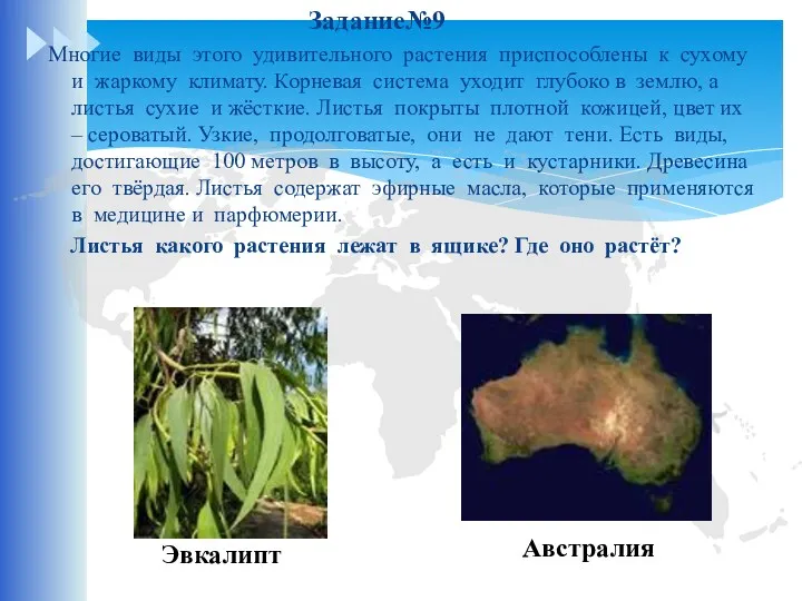 Задание№9 Многие виды этого удивительного растения приспособлены к сухому и