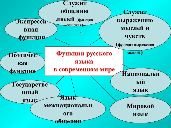 Функции русского языка в современном мире Экспрессивная функция Государственный язык